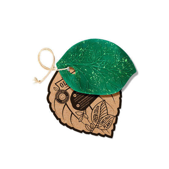 Foglia Clorofilla dentizione  Oli & Carol